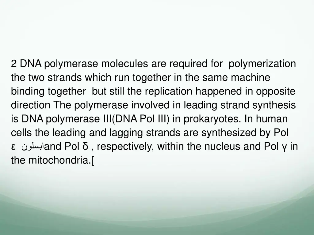 2 dna polymerase molecules are required