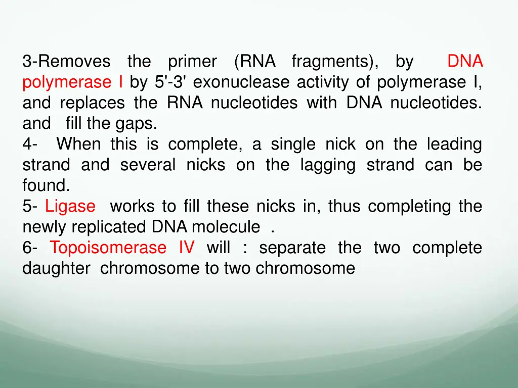 3 removes the primer rna fragments