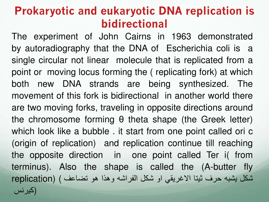 prokaryotic and eukaryotic dna replication