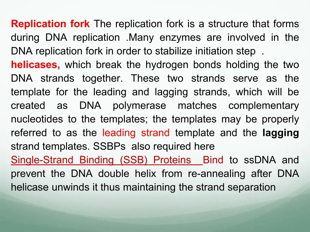 replication fork the replication fork