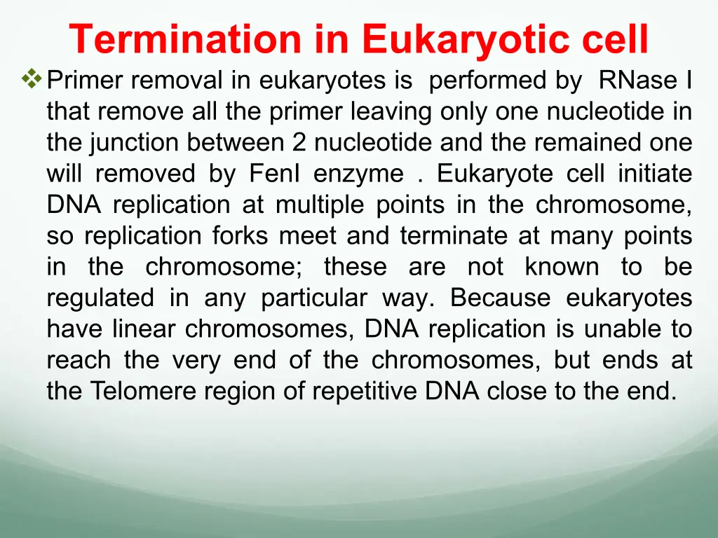 termination in eukaryotic cell primer removal