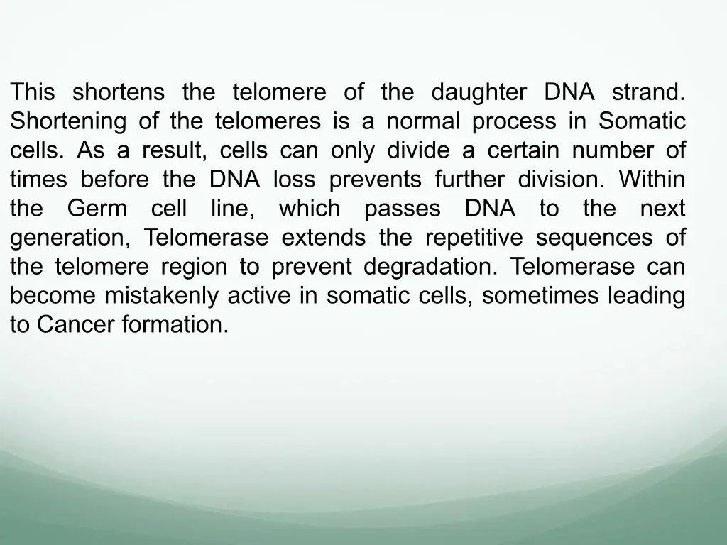 this shortens the telomere of the daughter