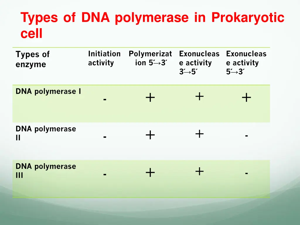 types of dna polymerase in prokaryotic cell