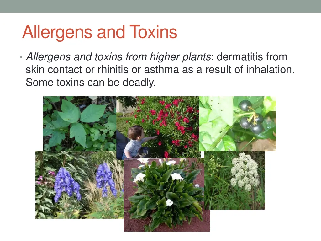 allergens and toxins