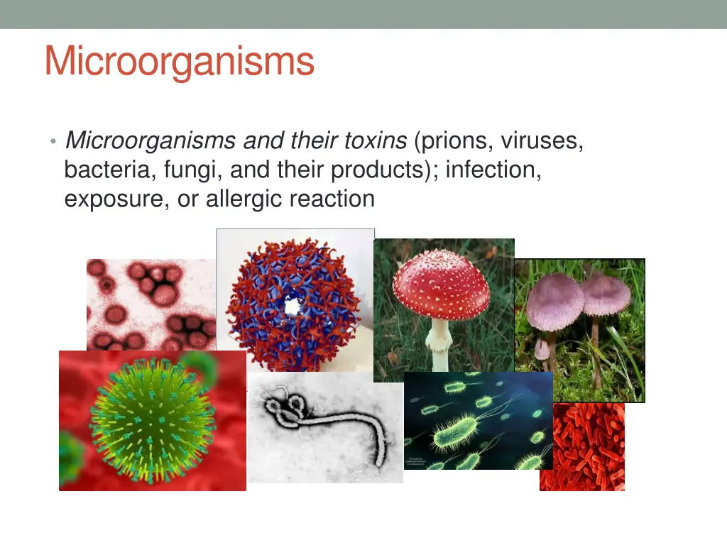 microorganisms