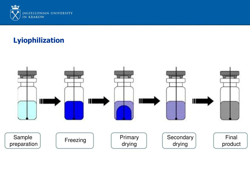 lyiophilization 1