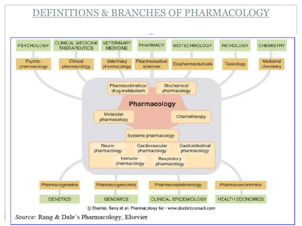 definitions branches of pharmacology