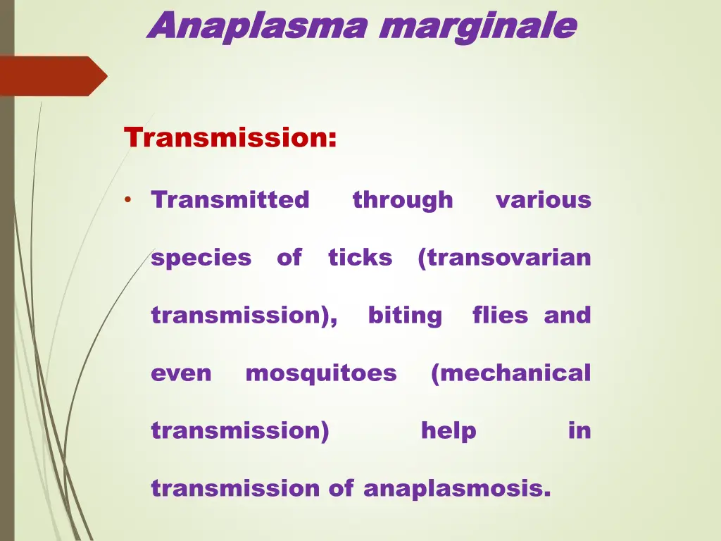 anaplasma anaplasma marginale 1