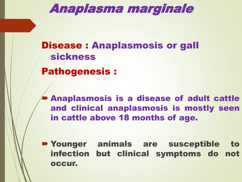 anaplasma anaplasma marginale 3