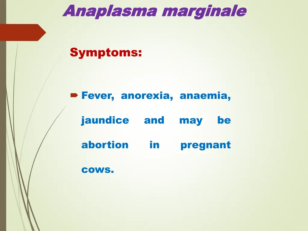 anaplasma anaplasma marginale 5