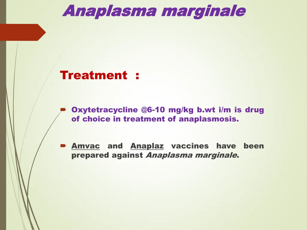 anaplasma anaplasma marginale 7