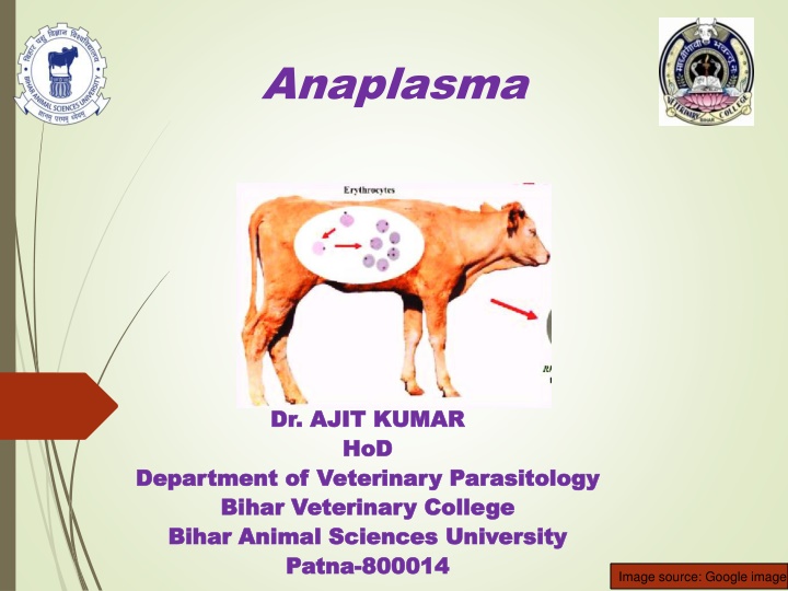 bihar animal sciences university