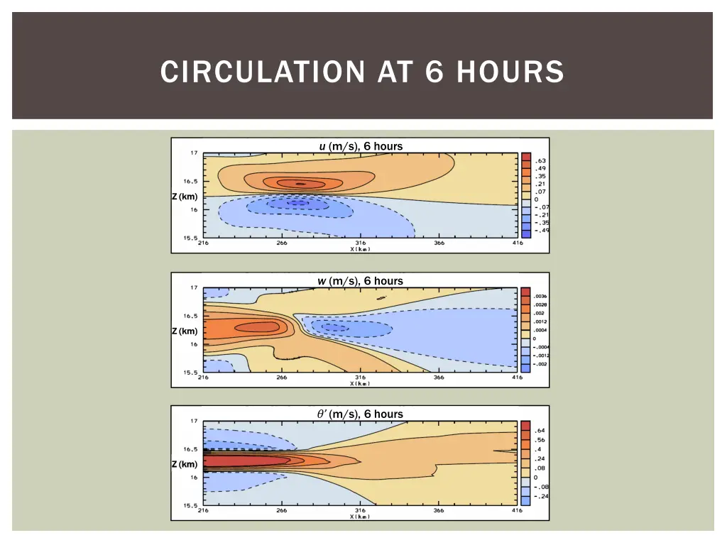 circulation at 6 hours 1