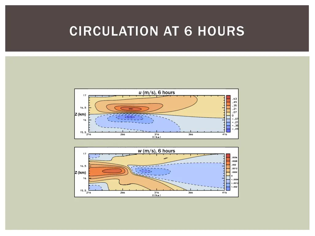 circulation at 6 hours