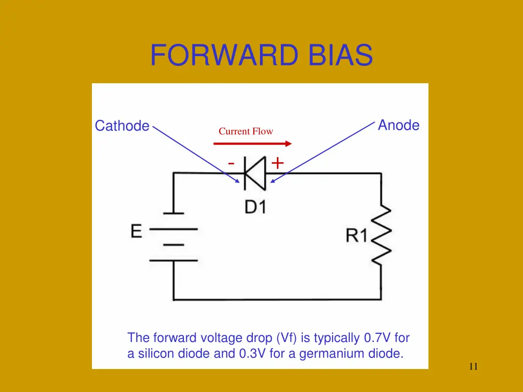 forward bias 1