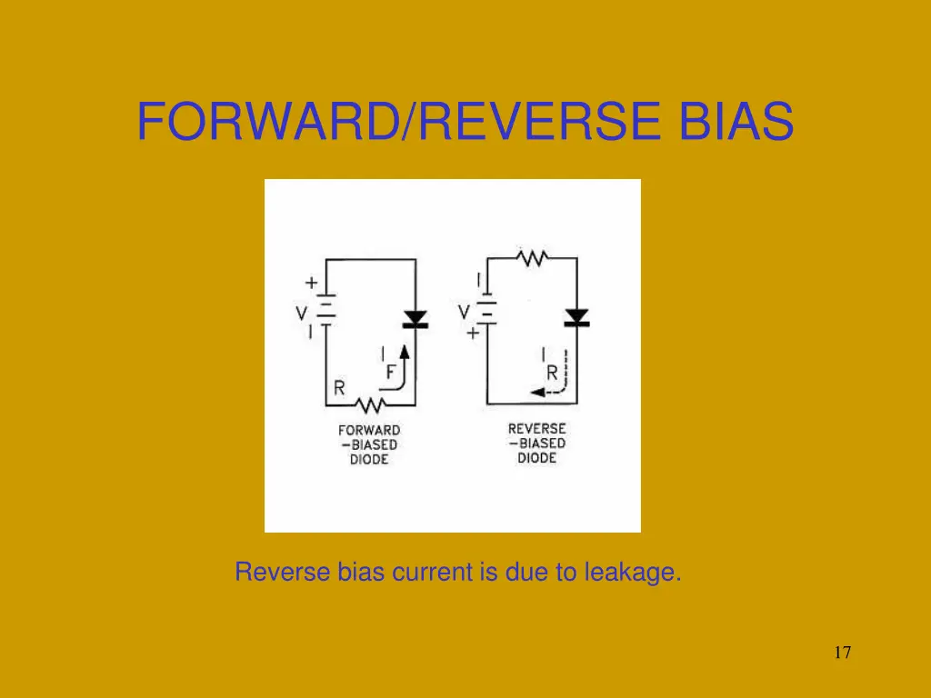 forward reverse bias