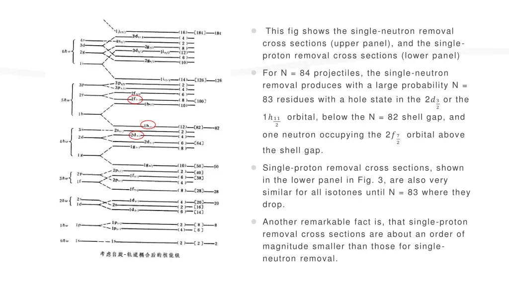 this fig shows the single neutron removal cross 1