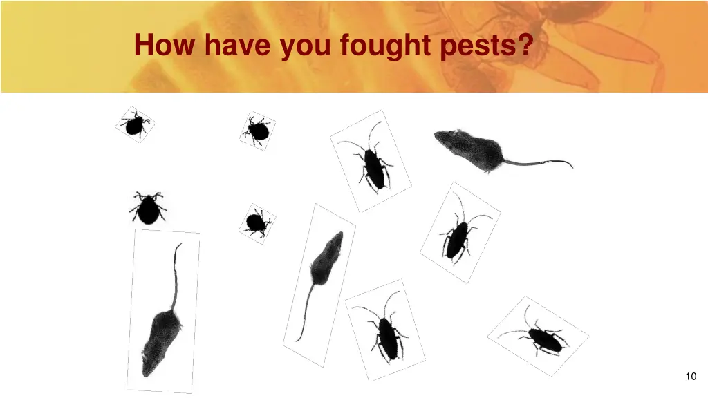 how have you fought pests