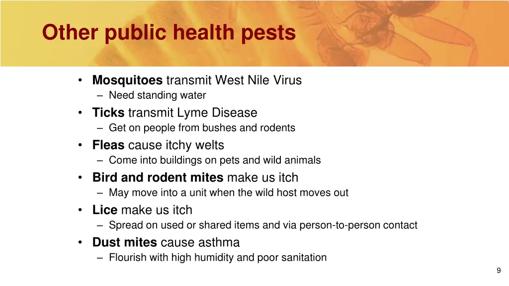 other public health pests