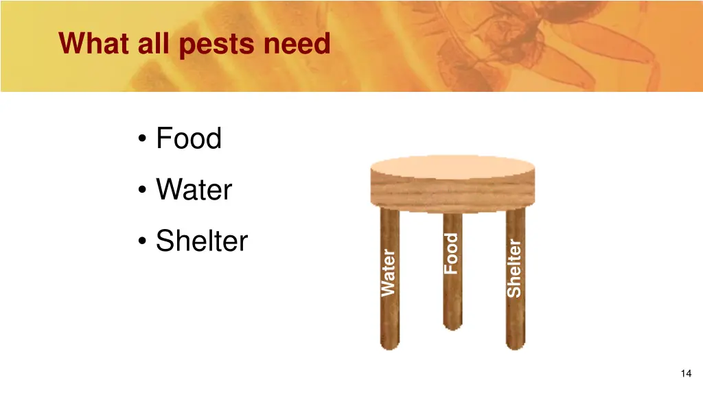 what all pests need