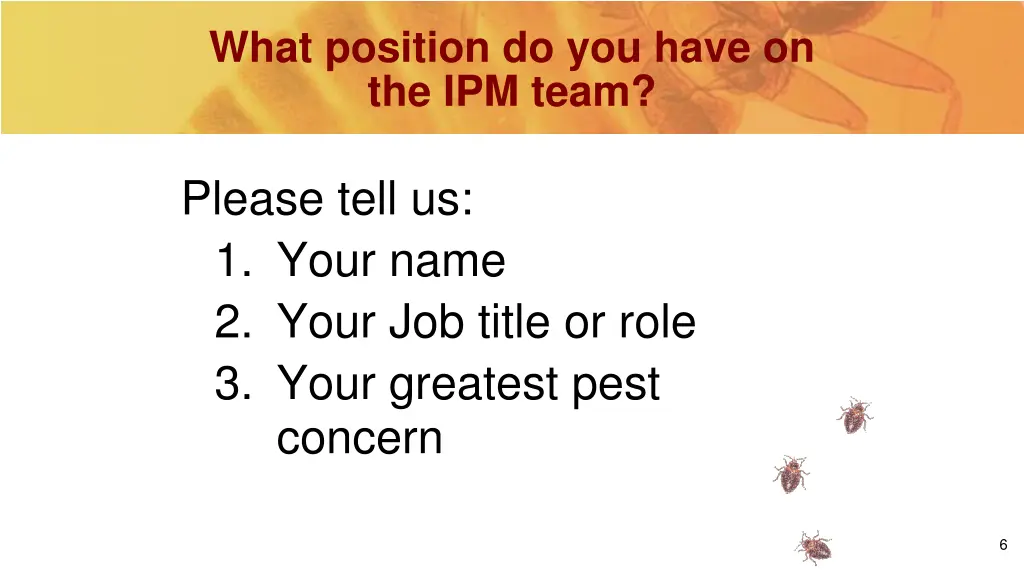 what position do you have on the ipm team