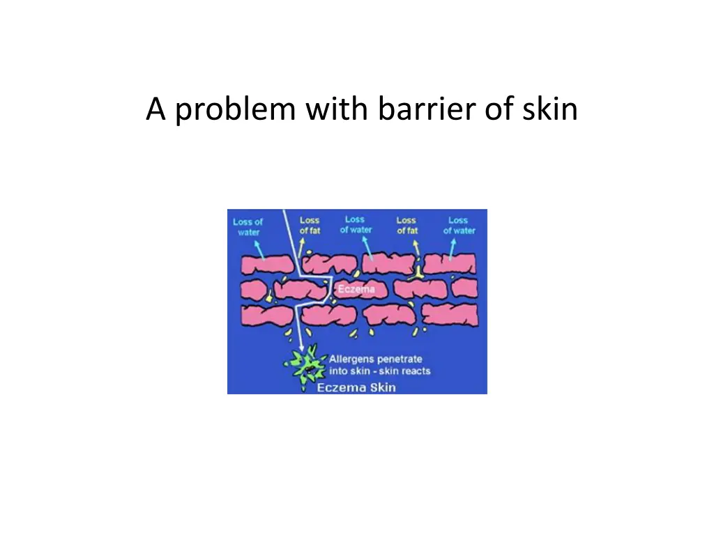 a problem with barrier of skin