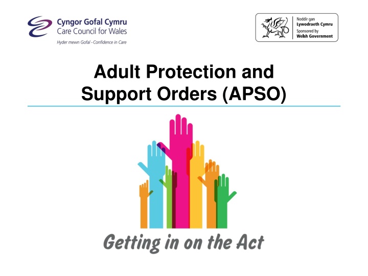 adult protection and support orders apso