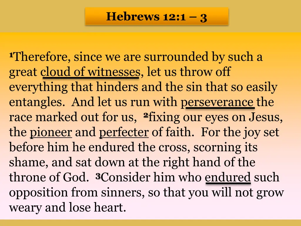 hebrews 12 1 3