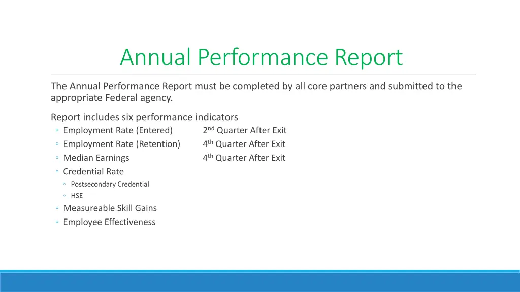 annual performance report