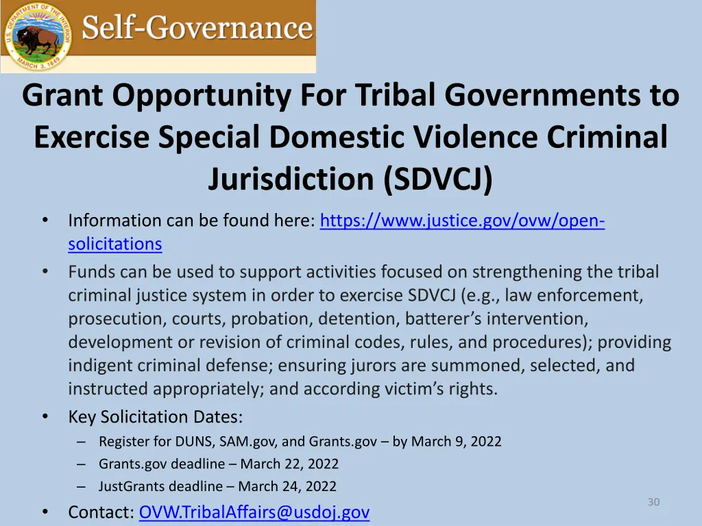 grant opportunity for tribal governments