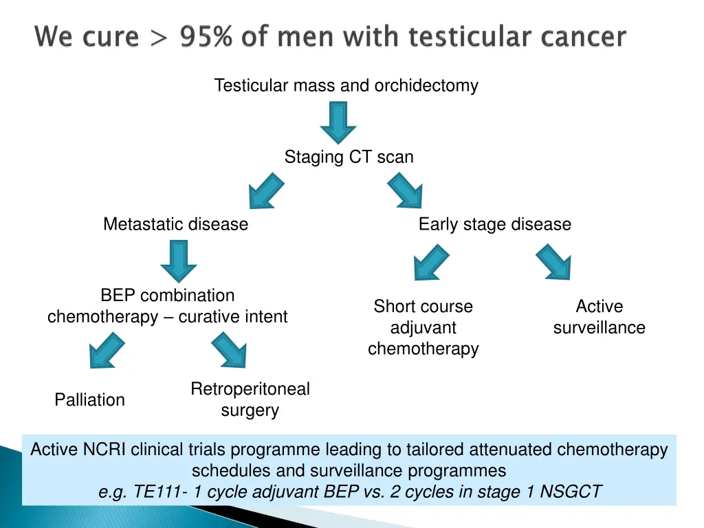 testicular mass and orchidectomy