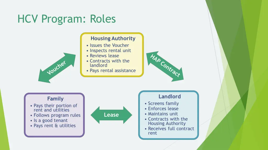 hcv program roles