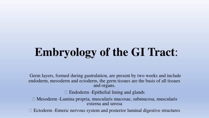 embryology of the gi tract