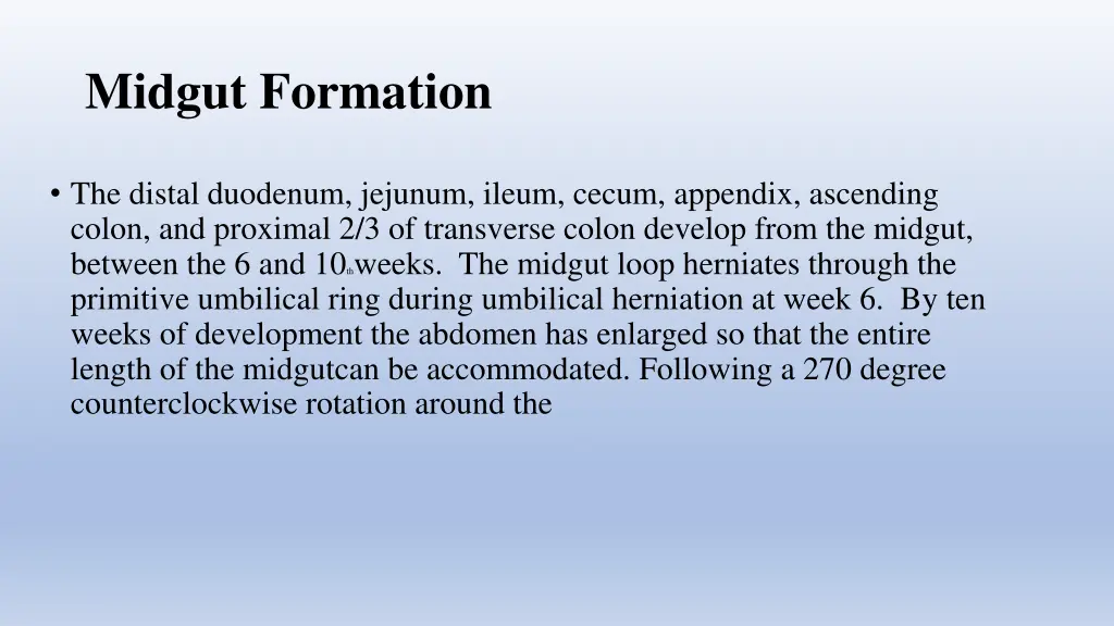 midgut formation