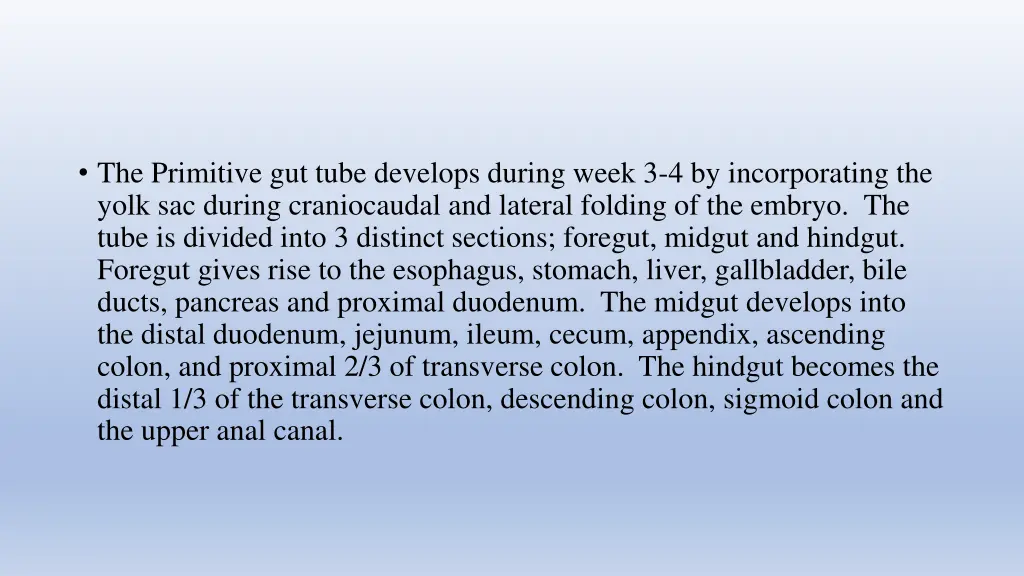 the primitive gut tube develops during week