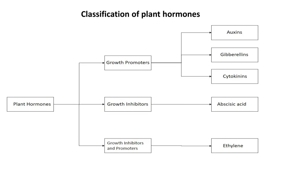 classification of plant hormones