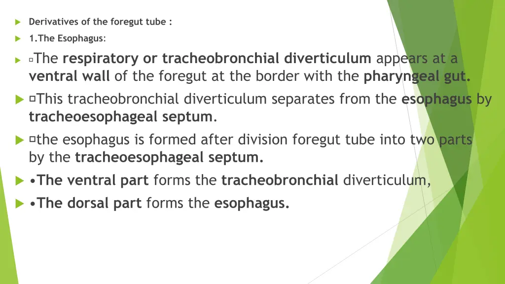 derivatives of the foregut tube