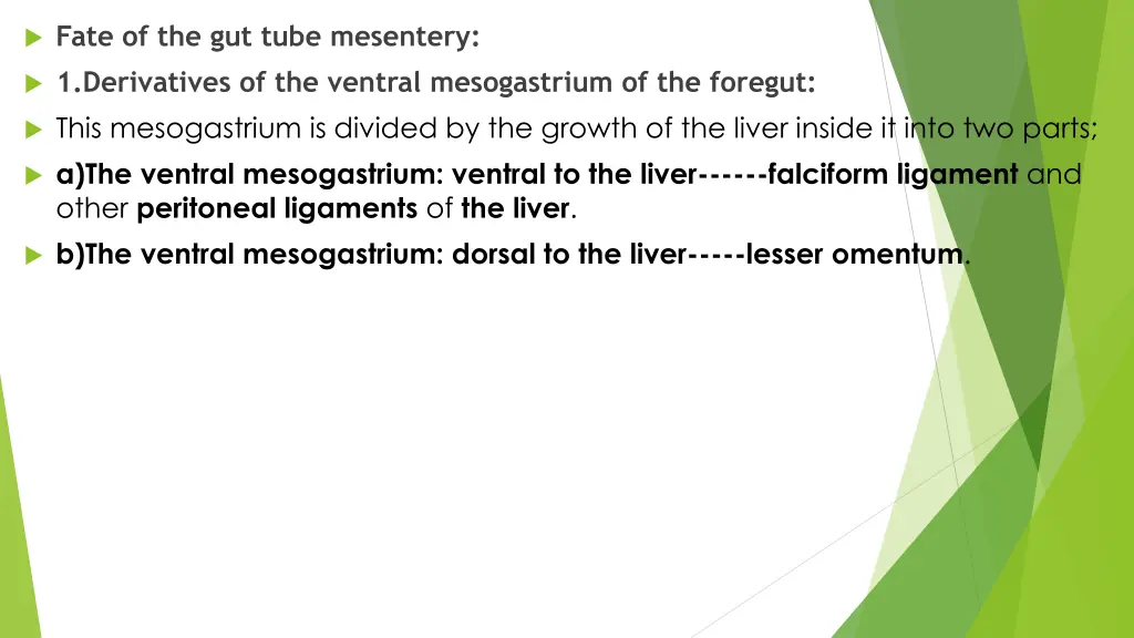 fate of the gut tube mesentery 1