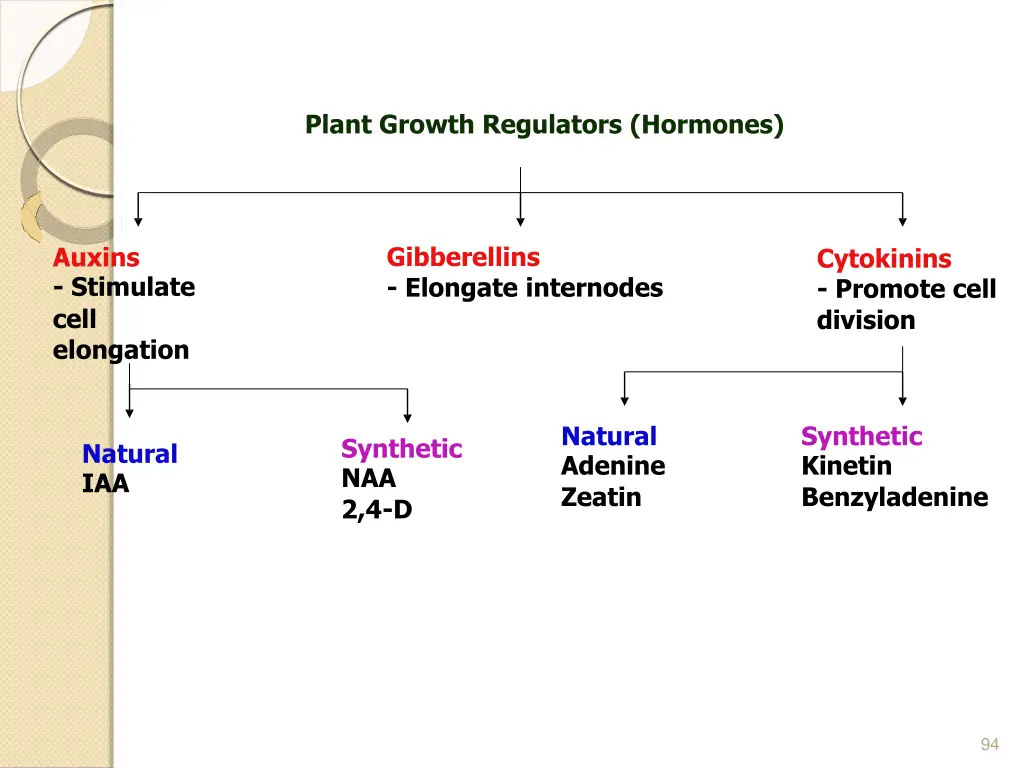 plant growth regulators hormones