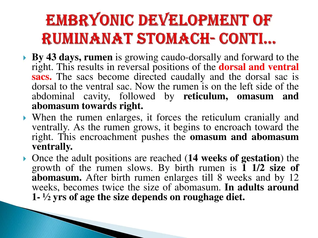 by 43 days rumen is growing caudo dorsally