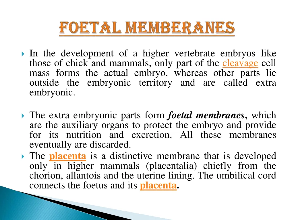 foetal memberanes