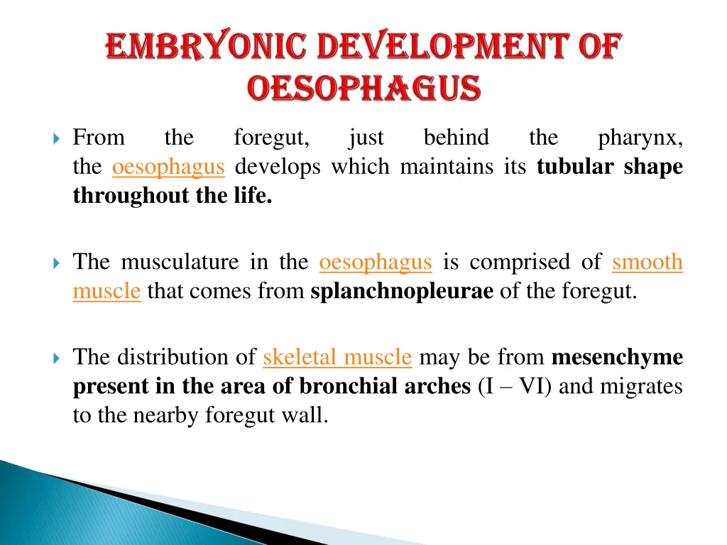 from the oesophagus develops which maintains