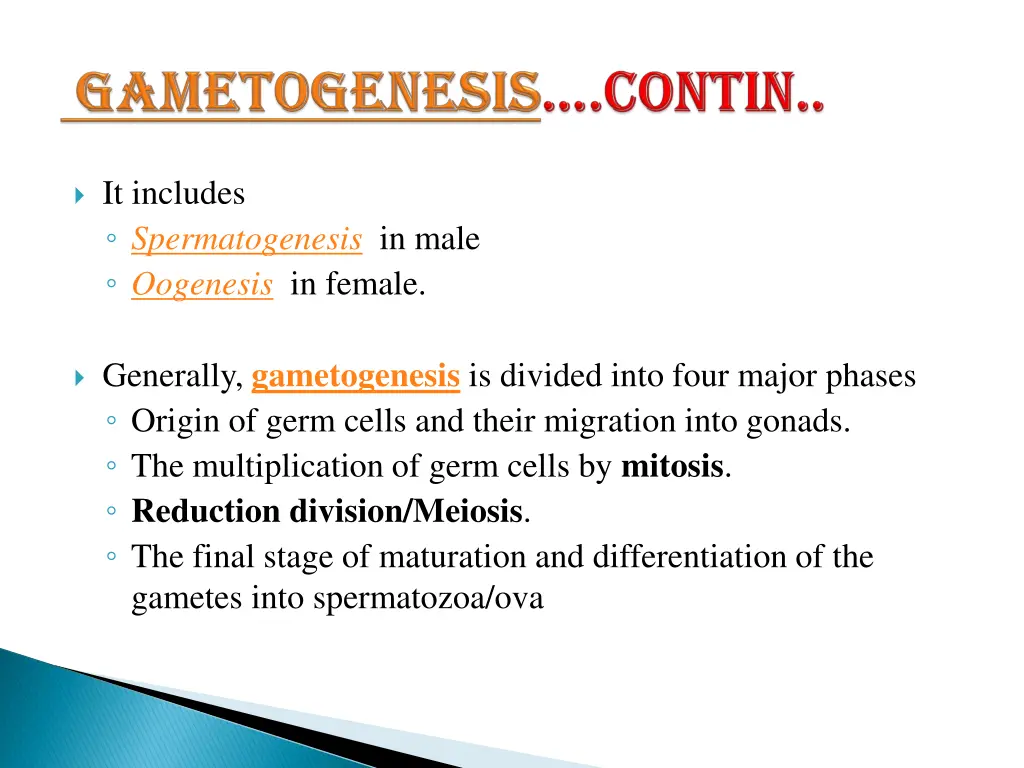 gametogenesis 1