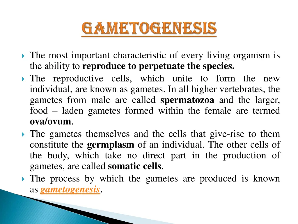 gametogenesis