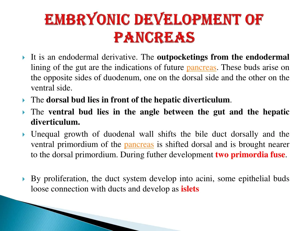 it is an endodermal derivative the outpocketings