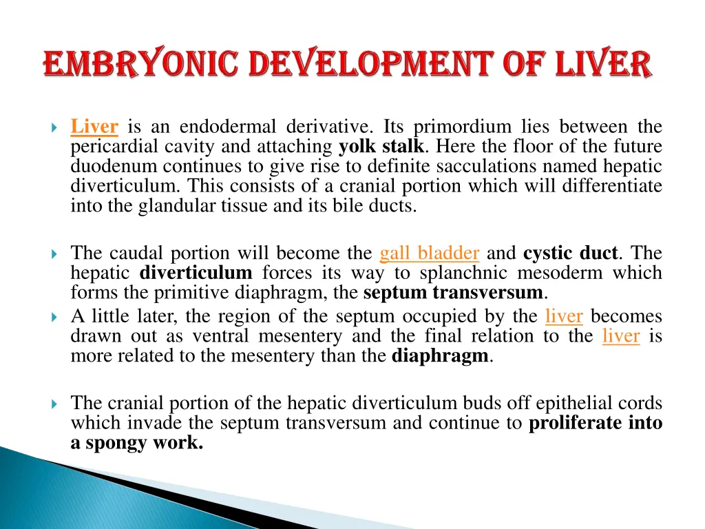 liver is an endodermal derivative its primordium