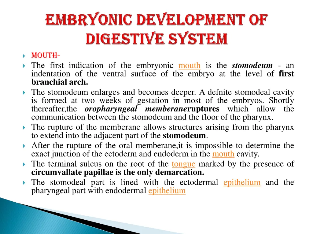 mouth the first indication of the embryonic mouth