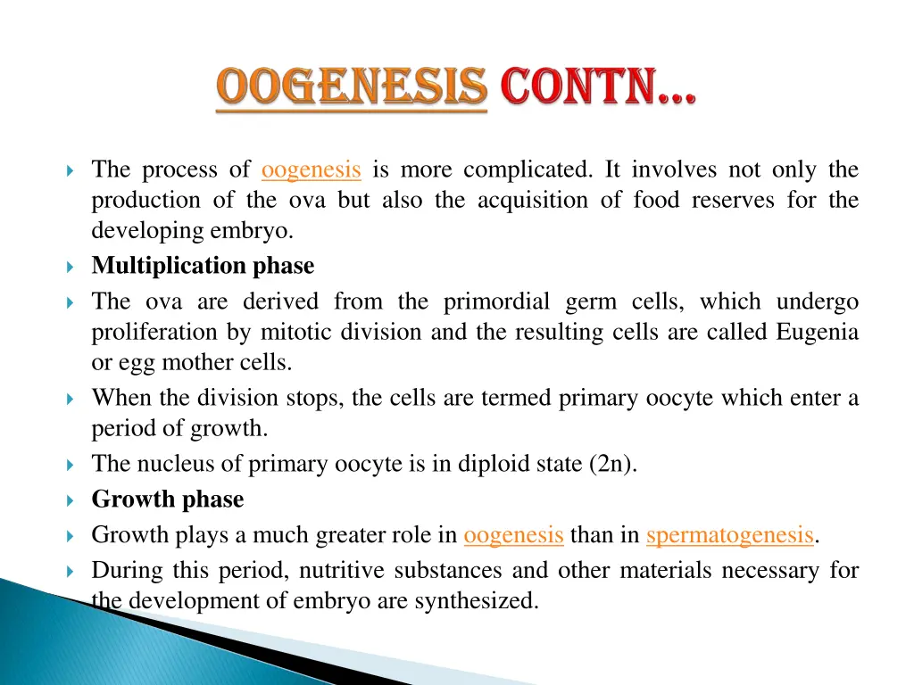 oogenesis 1