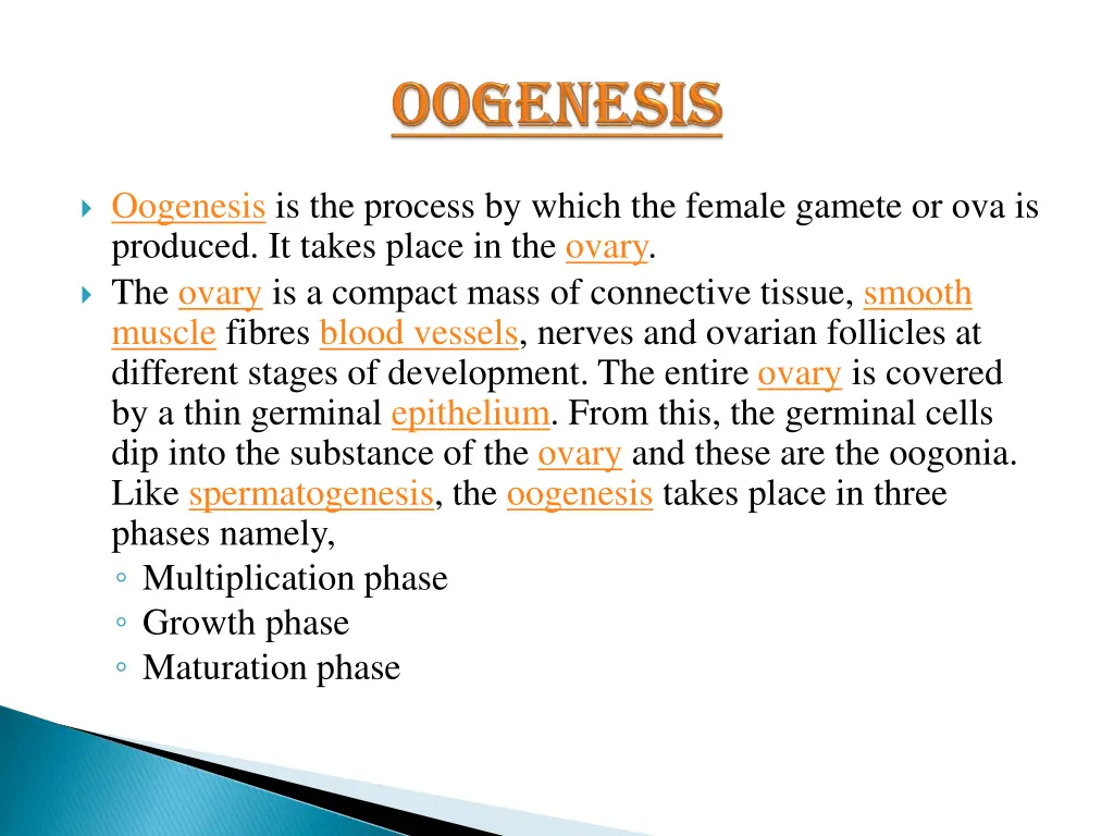 oogenesis