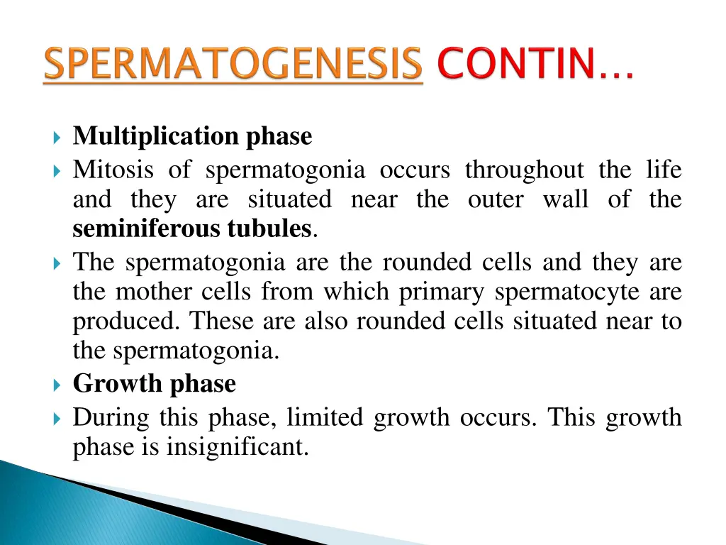 spermatogenesis 1